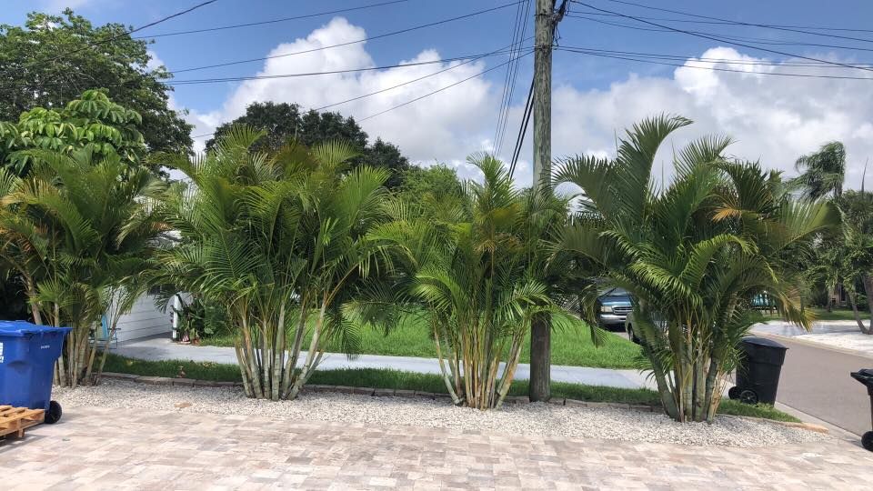 Natural Stone Hardscape for Hefty's Helpers in Saint Petersburg,  FL