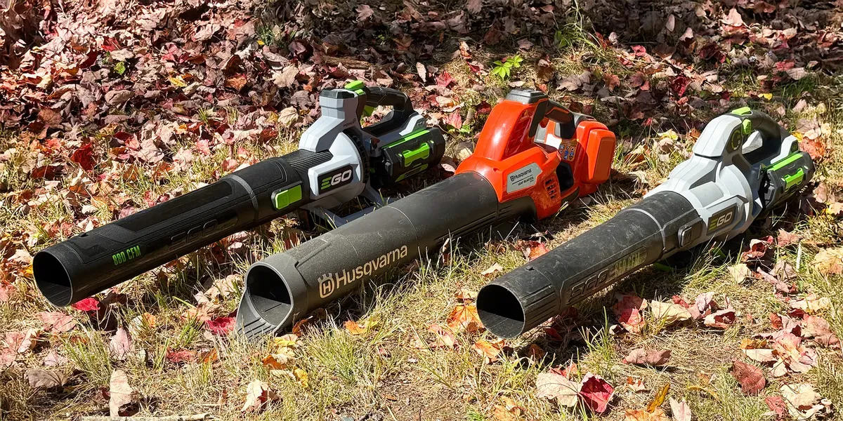 Leaf Blowing for Turf Titan in Lake City, FL