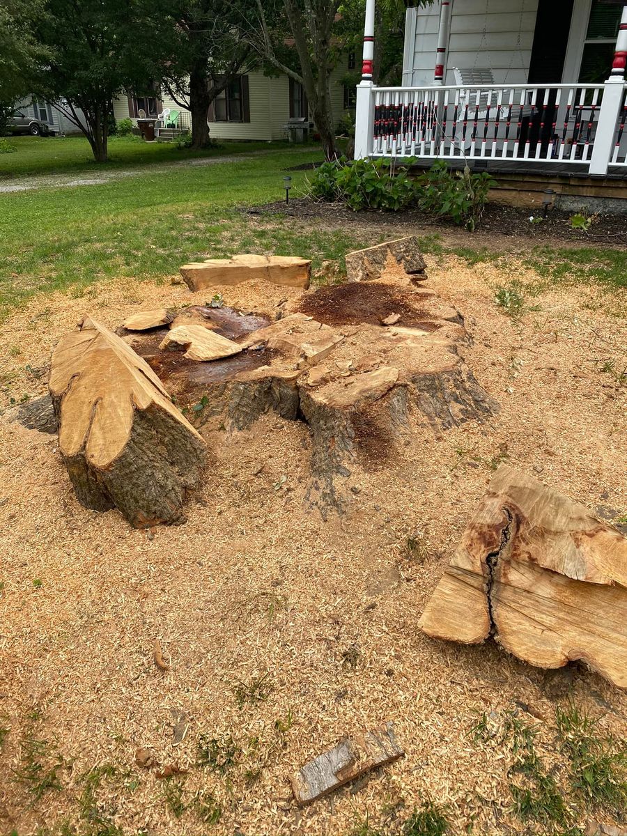 Stump Removal for Greenskeeper Property Management in Elizabethtown, KY