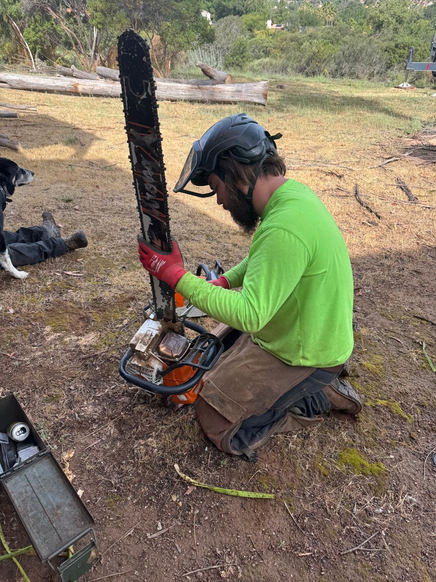 Tree Services for The Tree Fairy in Julian, CA