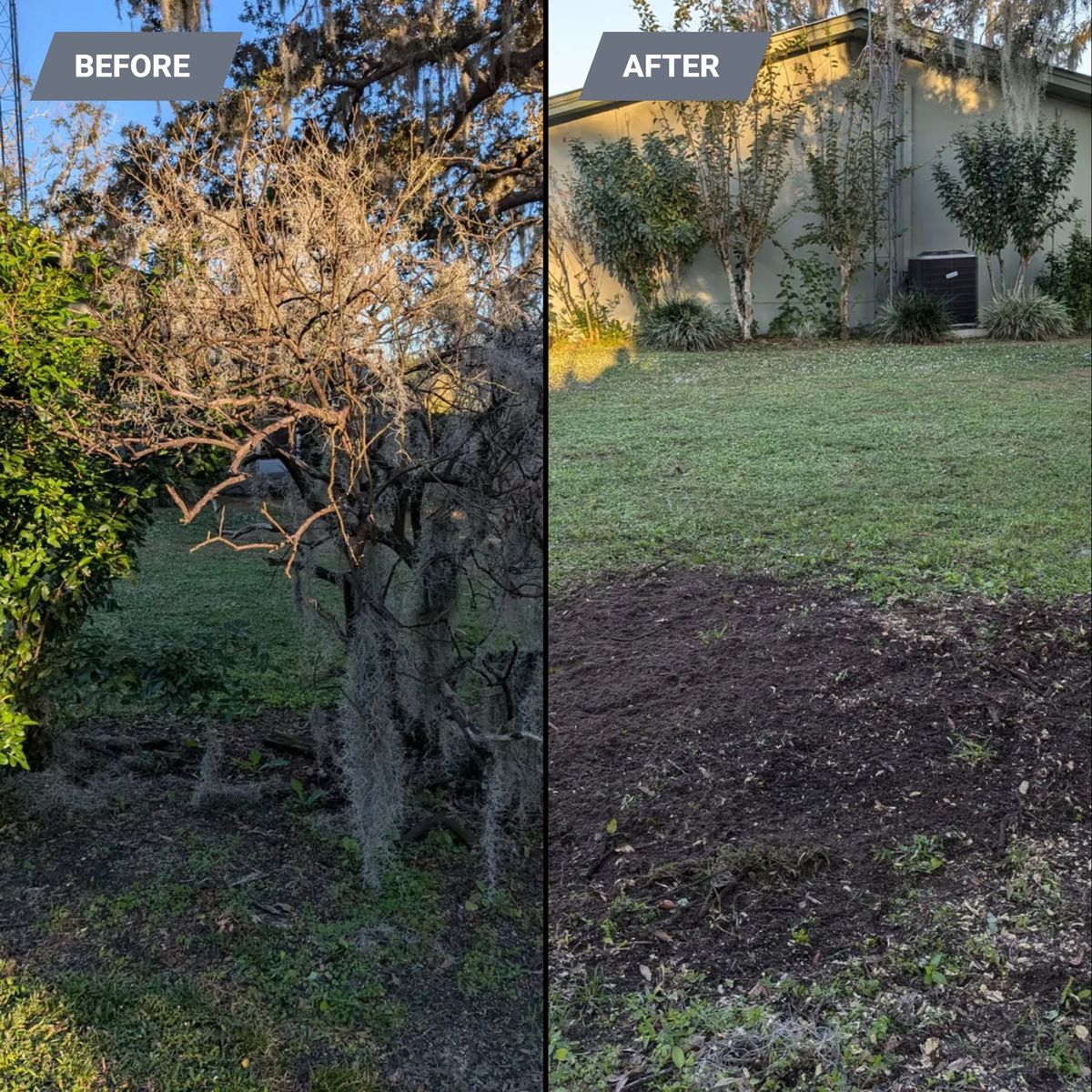 Moss Removal for Regal Tree Service and Stump Grinding in Wauchula, FL