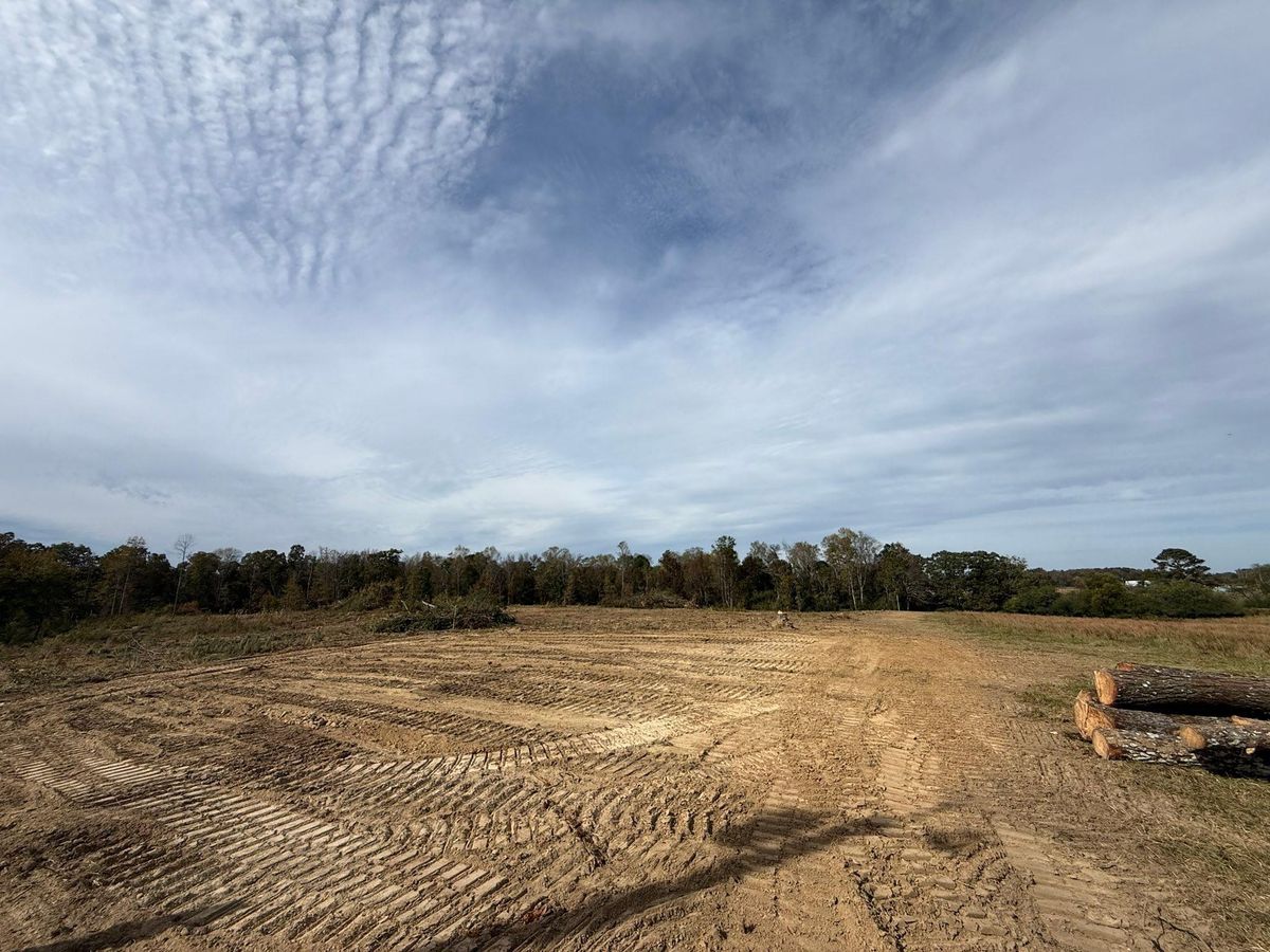 Land Clearing for Mud Creek Vegetation Management in Russellville, AL