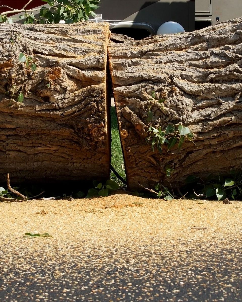 Stump Removal for Oakwood Tree Removal LLC in Oak Creek,  WI