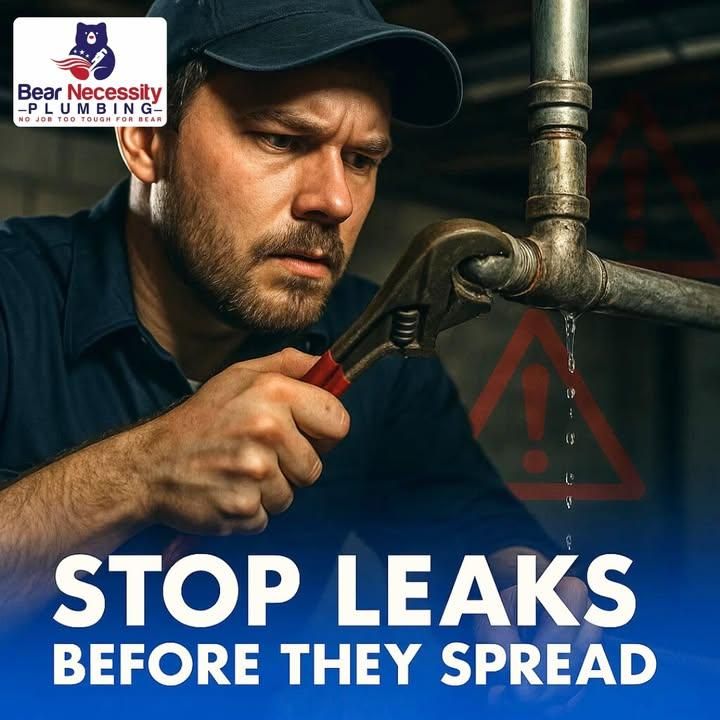 Plumbing Repairs for Bear Necessity Plumbing in Longs, SC