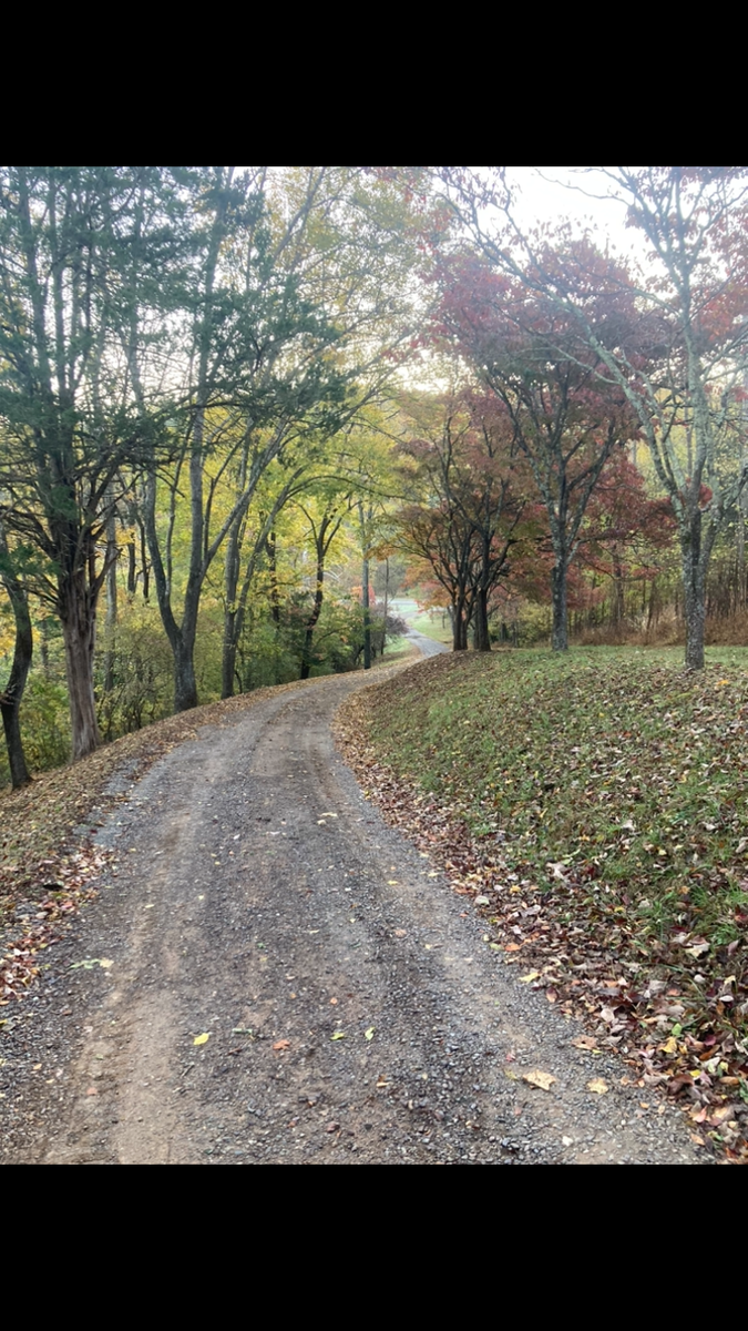 Driveway Regrading for 9999 Building and Renovation LLC in Warrenton, VA