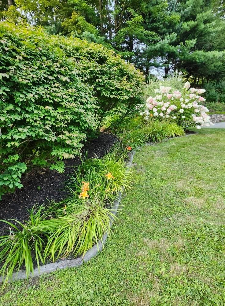 Landscape Installation for Landscape Innovations LLC in Torrington, CT