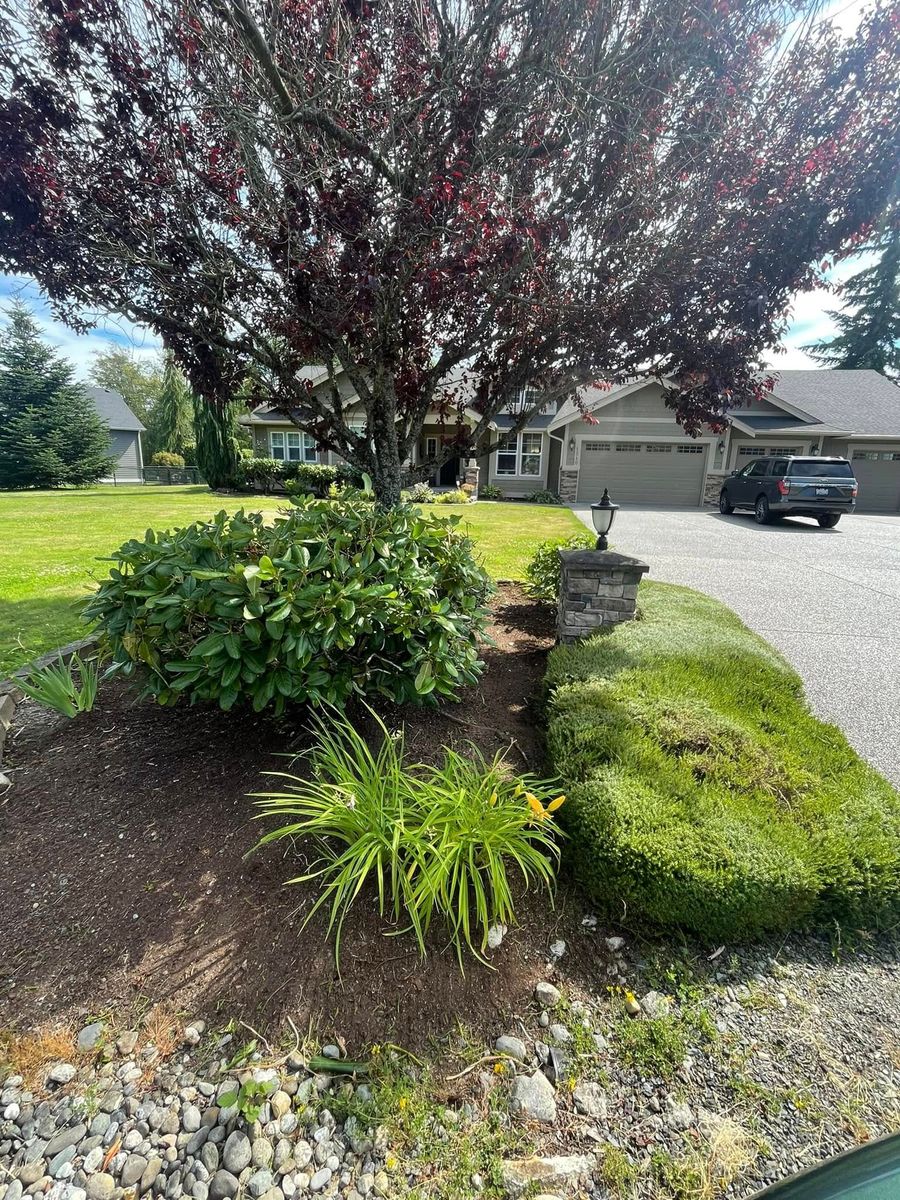 Lawn Maintenance for B.U Landscaping in Everett, WA