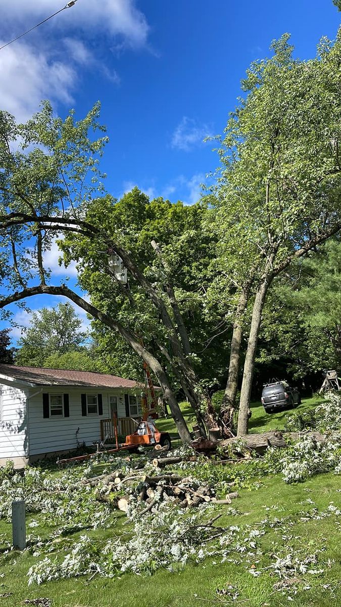 Stump Removal for Branching Out Tree Service in Hastings, MI