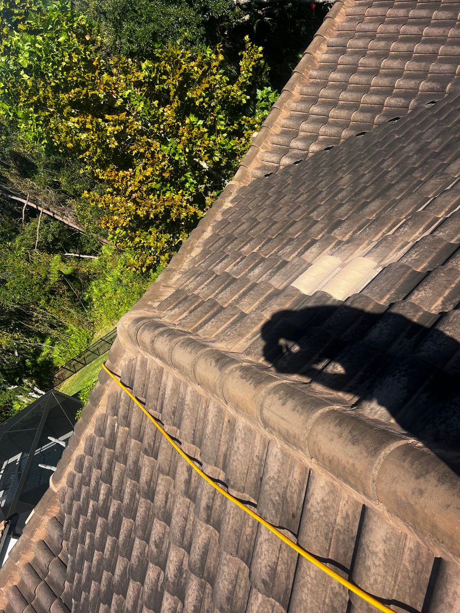 Roof Cleaning for Barr None Wash Pro in Tampa, FL