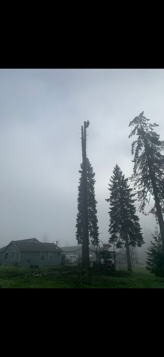 Tree Trimming for Ascension Tree Care LLC in Yakima County, WA