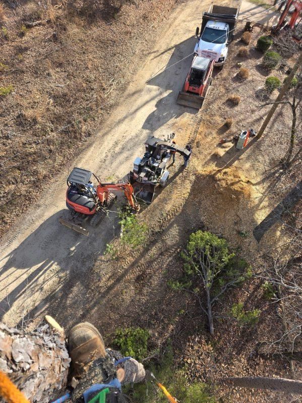 Debris Removal for Bobcat Bob in Clermont, GA