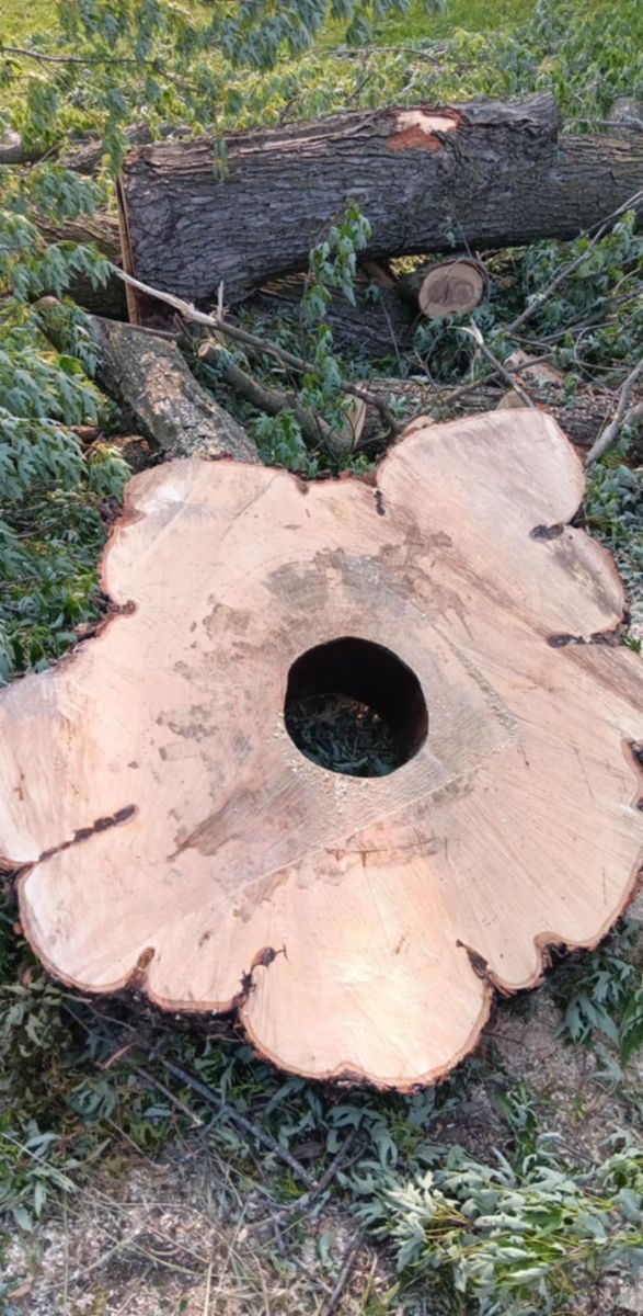 Tree Removal for Lawn Ranger Yard And Tree Service LLC in Ottumwa, IA