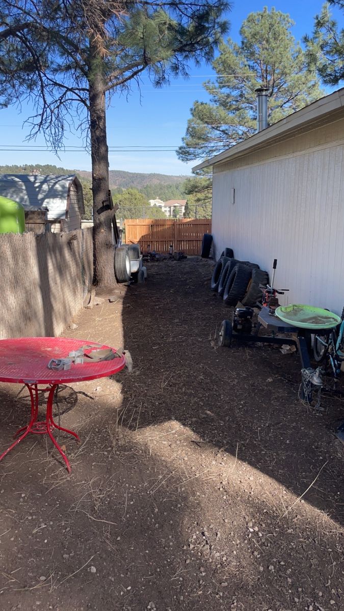 Pine needle clean up for G&B Yard Service in Ruidoso Downs, NM