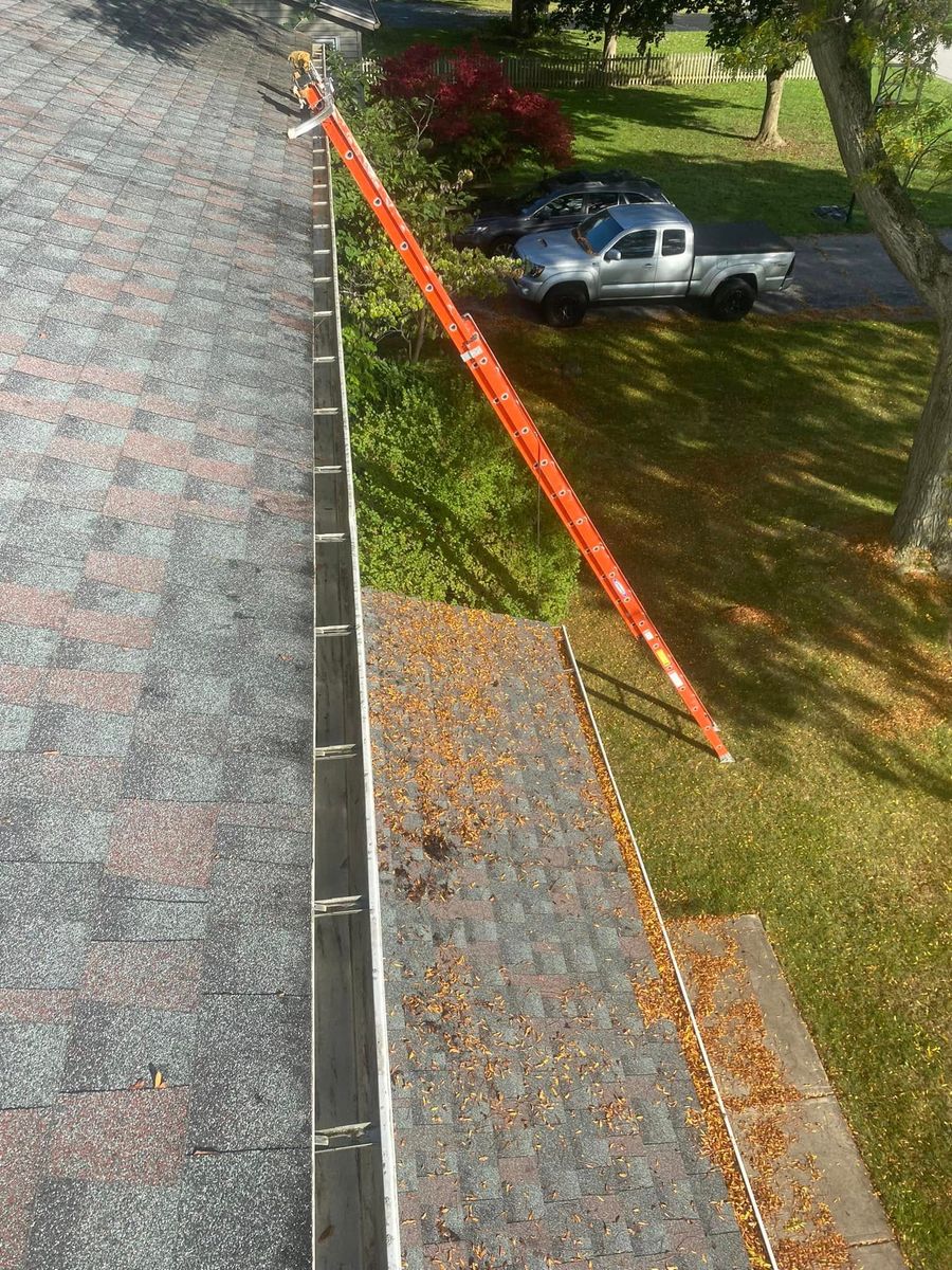 Moss Removal for Apex Windows in Brockport, NY