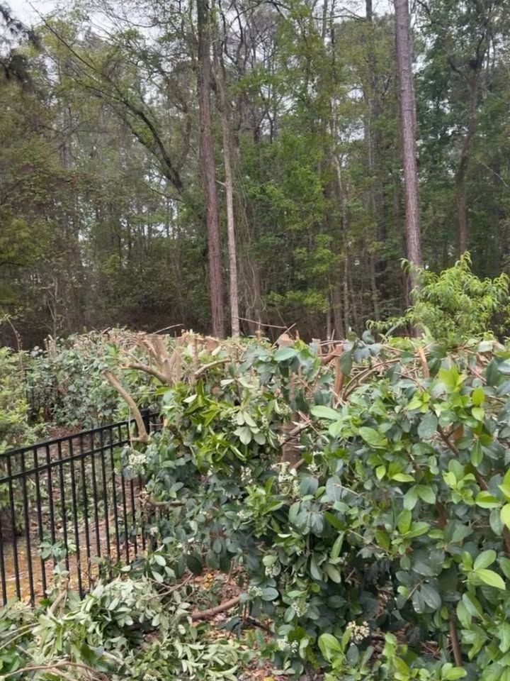 Shrub Trimming for Whole 9 Yards Services LLC in Green Cove Springs, FL