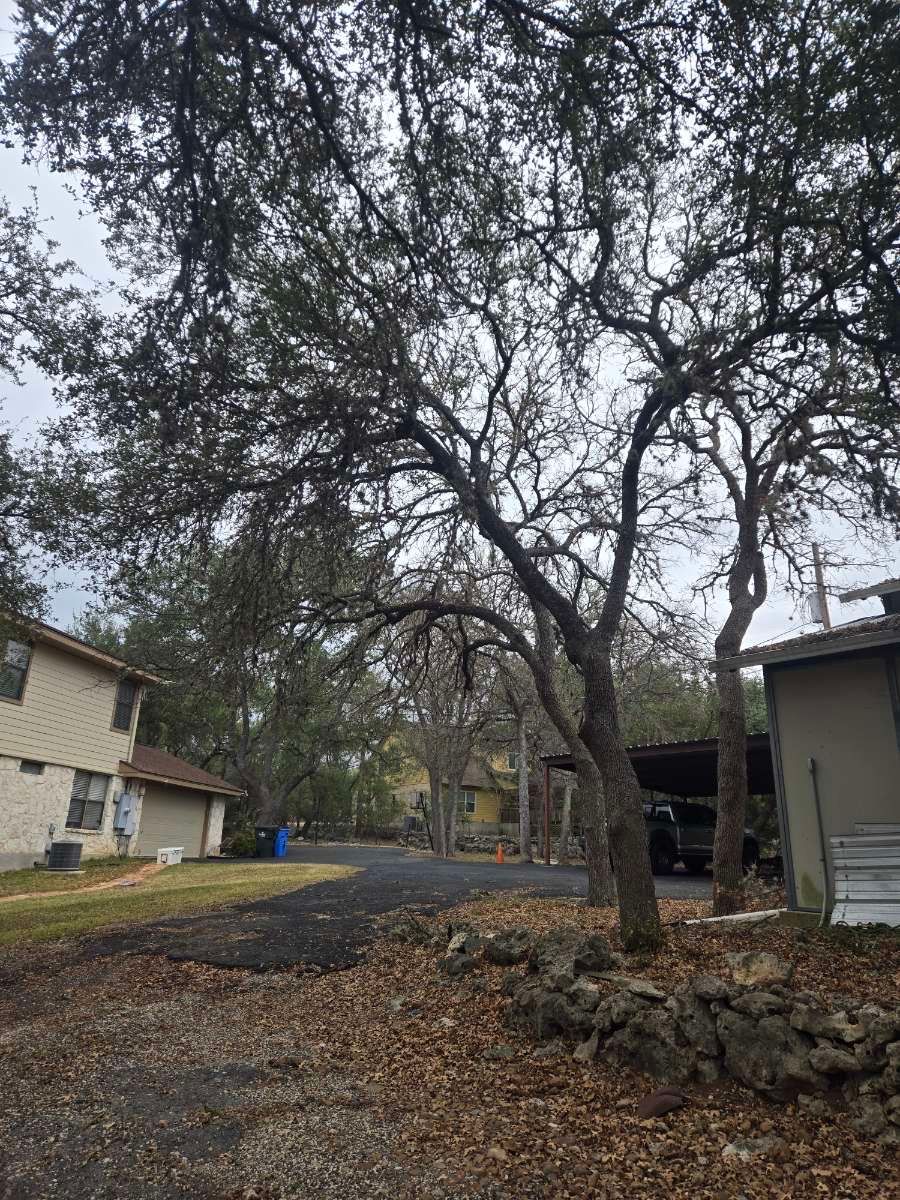 Tree trimming for Good and Green Landscaping in Canyon Lake, TX