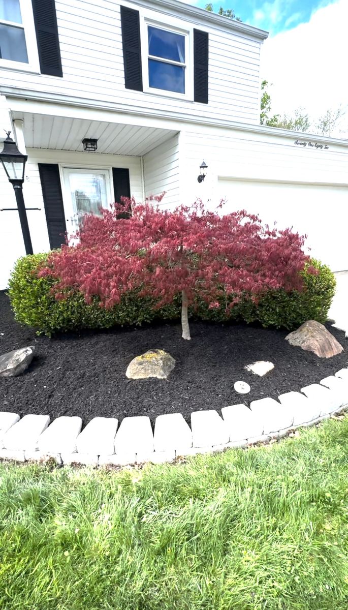 Edging/Blowing/Weed Whacking for Yard Theory L.L.C. in Willowick, OH