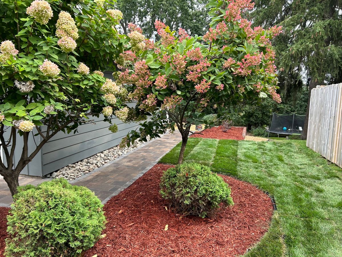 Landscape Design for Boss Construction in Saint Paul, MN