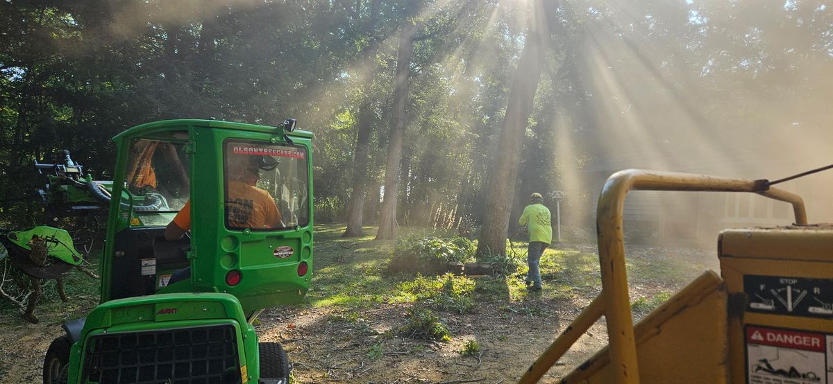 Stump Grinding for Olson Tree Service, Inc in Rockford, IL