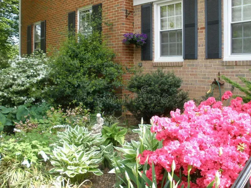 Lawn Care for Kathleen's Lawn & Shrub Care in Augusta, GA