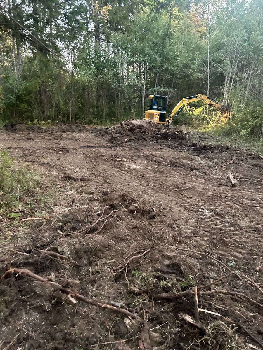 Tree Work for Harpers Landscaping in Fredonia, NY