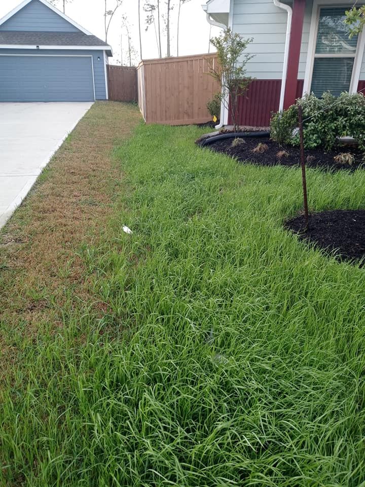 Mulch Installation for The I AM Services in Houston, TX