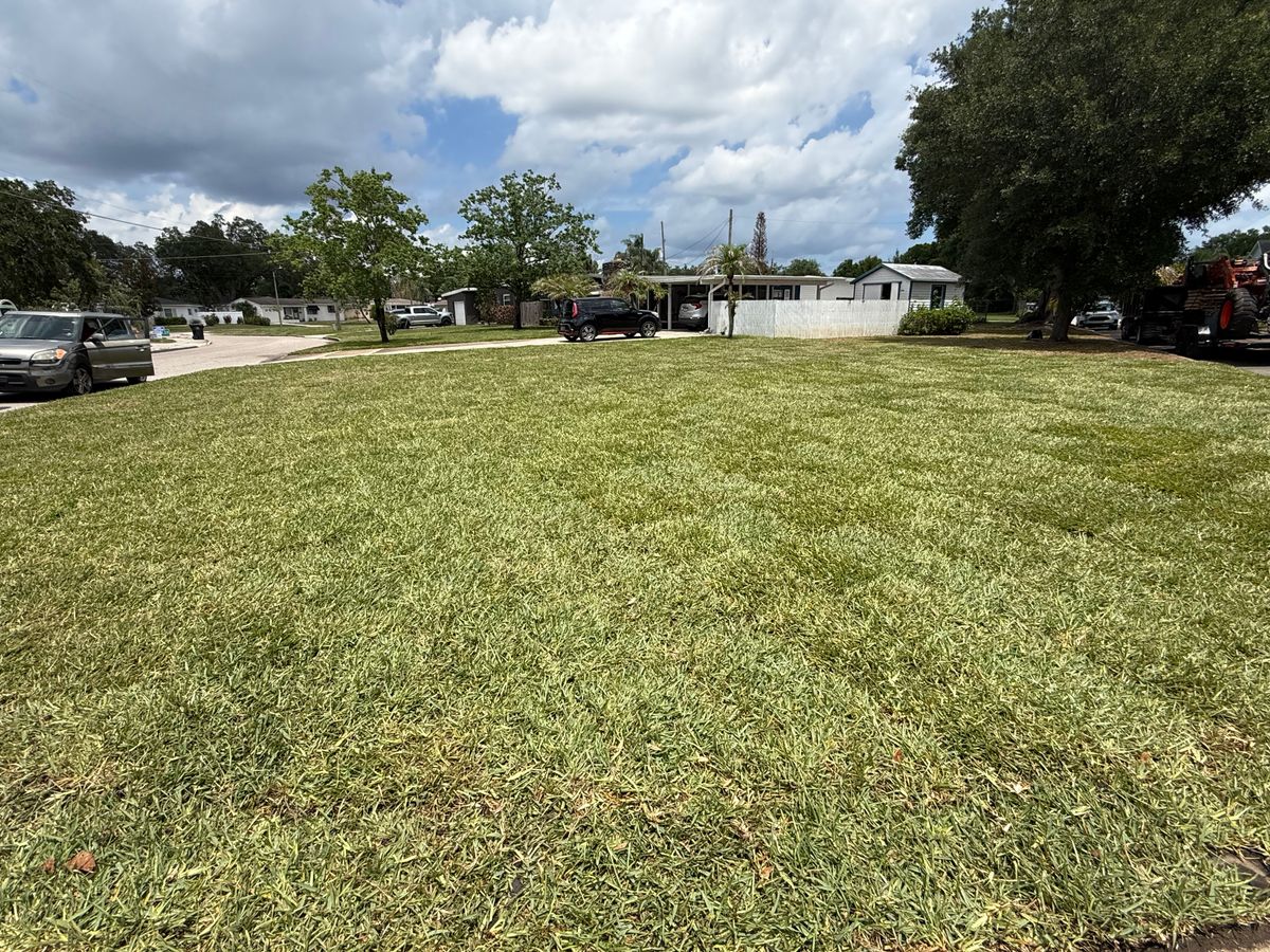Sod Installation for Amerigrown Tree And Lawn in Apopka, FL