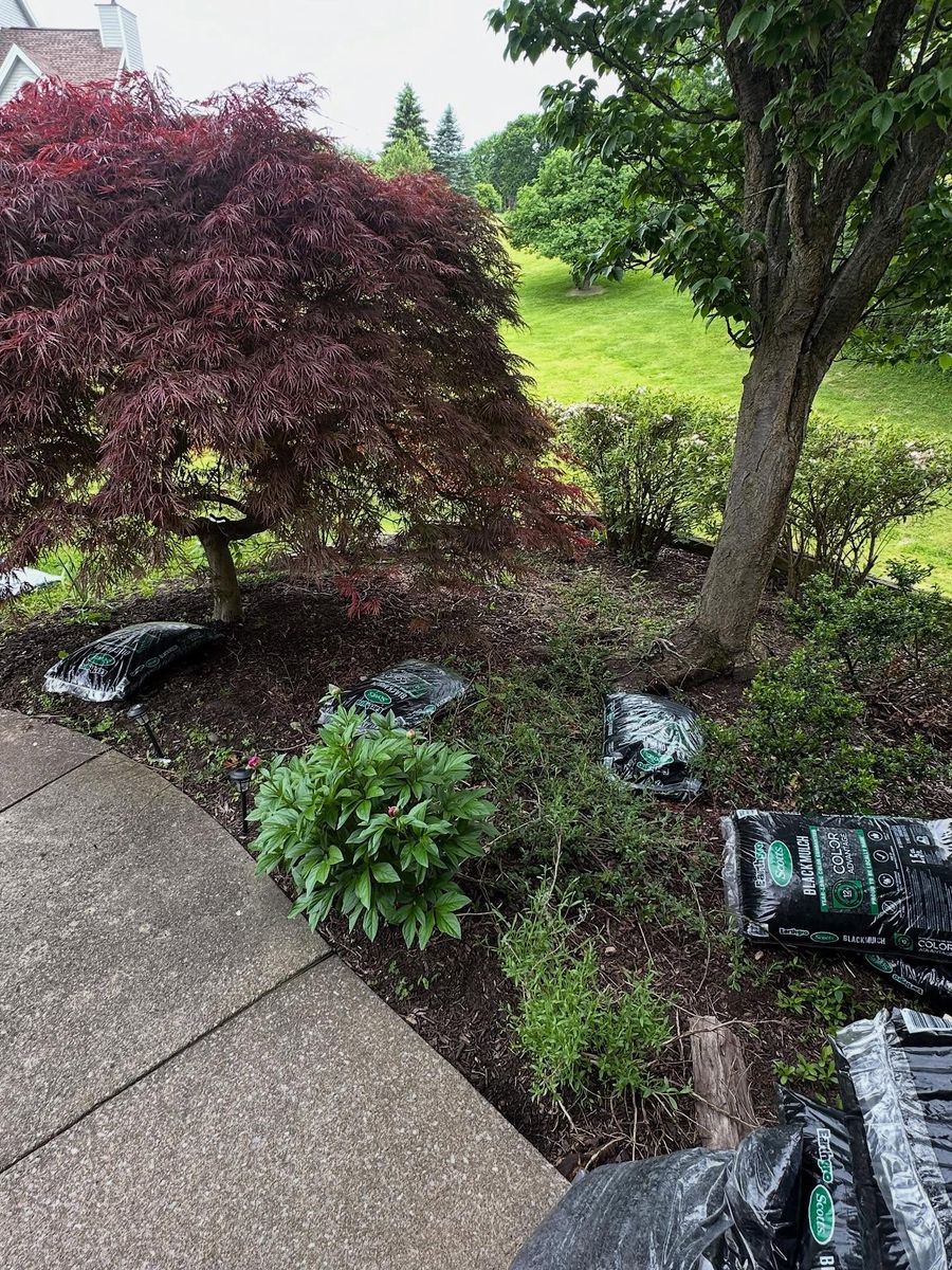 Other Services for Nate’s Handyman Services in Rochester, NY