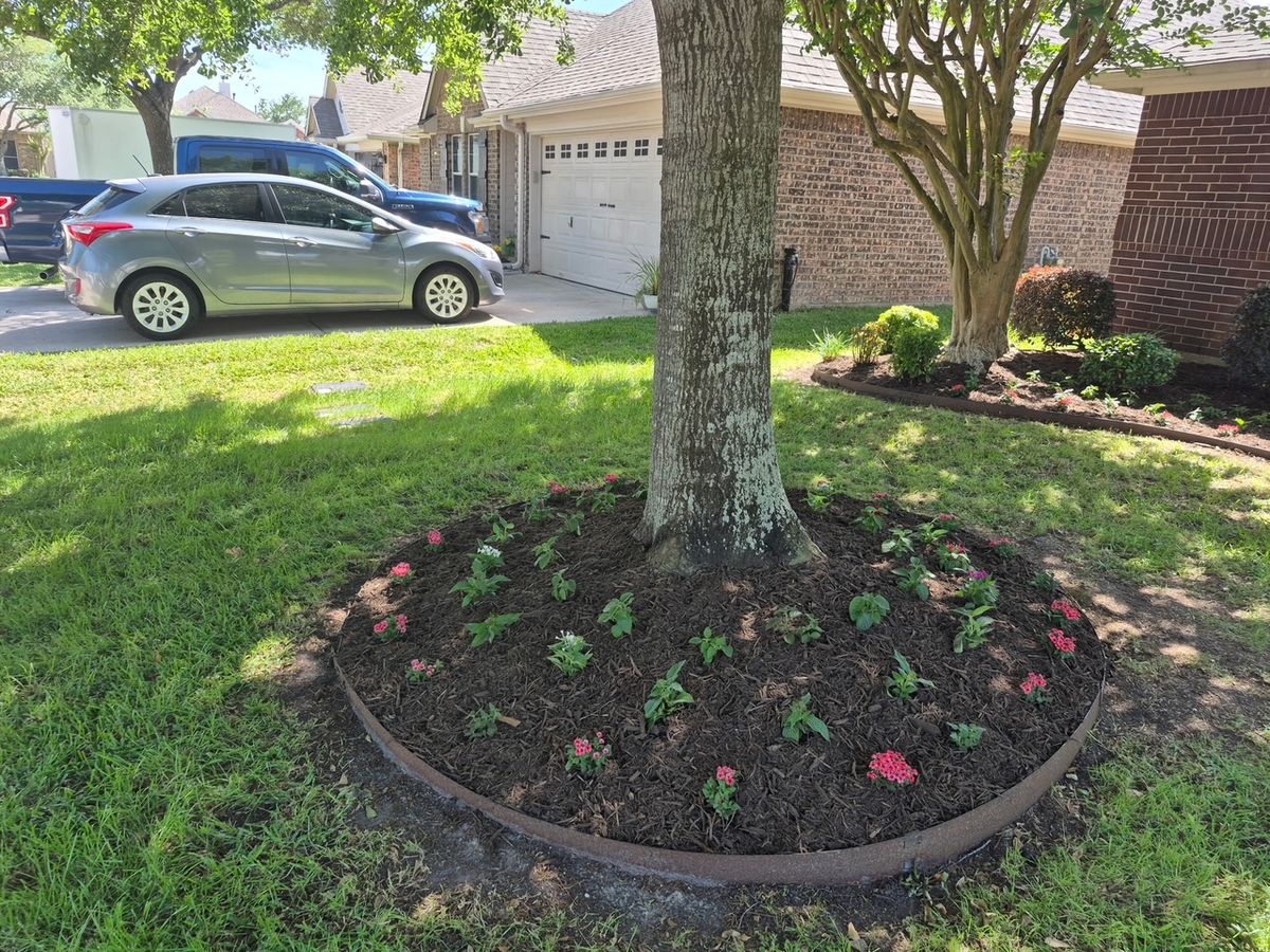 Landscaping for Texas Lawn & Sprinkler Co. in Houston, TX