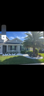 Landscaping for Florida Pro Turf in Rockledge, FL