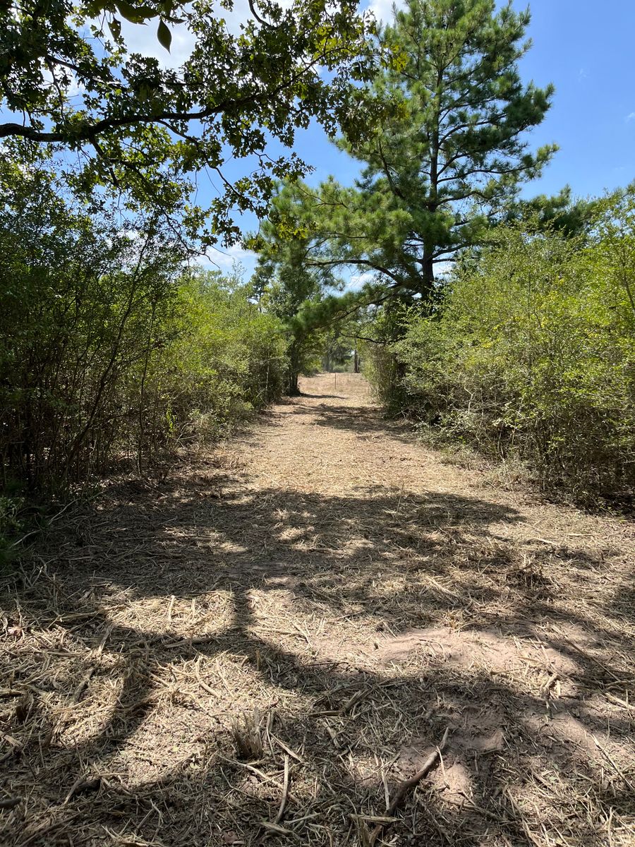 Land Clearing for Arnold Construction in Magnolia, TX