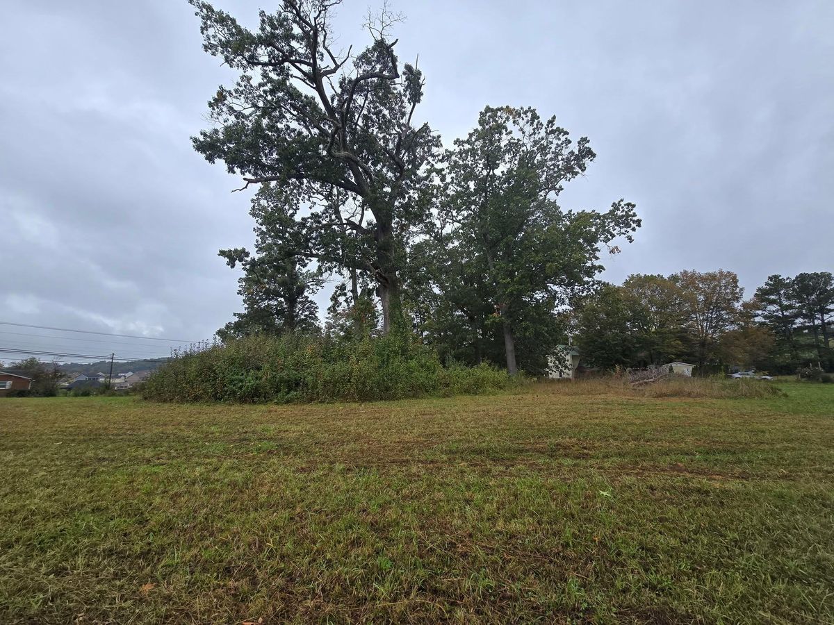 Land clearing for M&L Lumber and Excavating in Jonesborough, TN