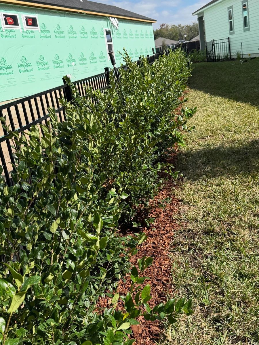 Mulch Installation for Whole 9 Yards Services in Green Cove Springs, FL