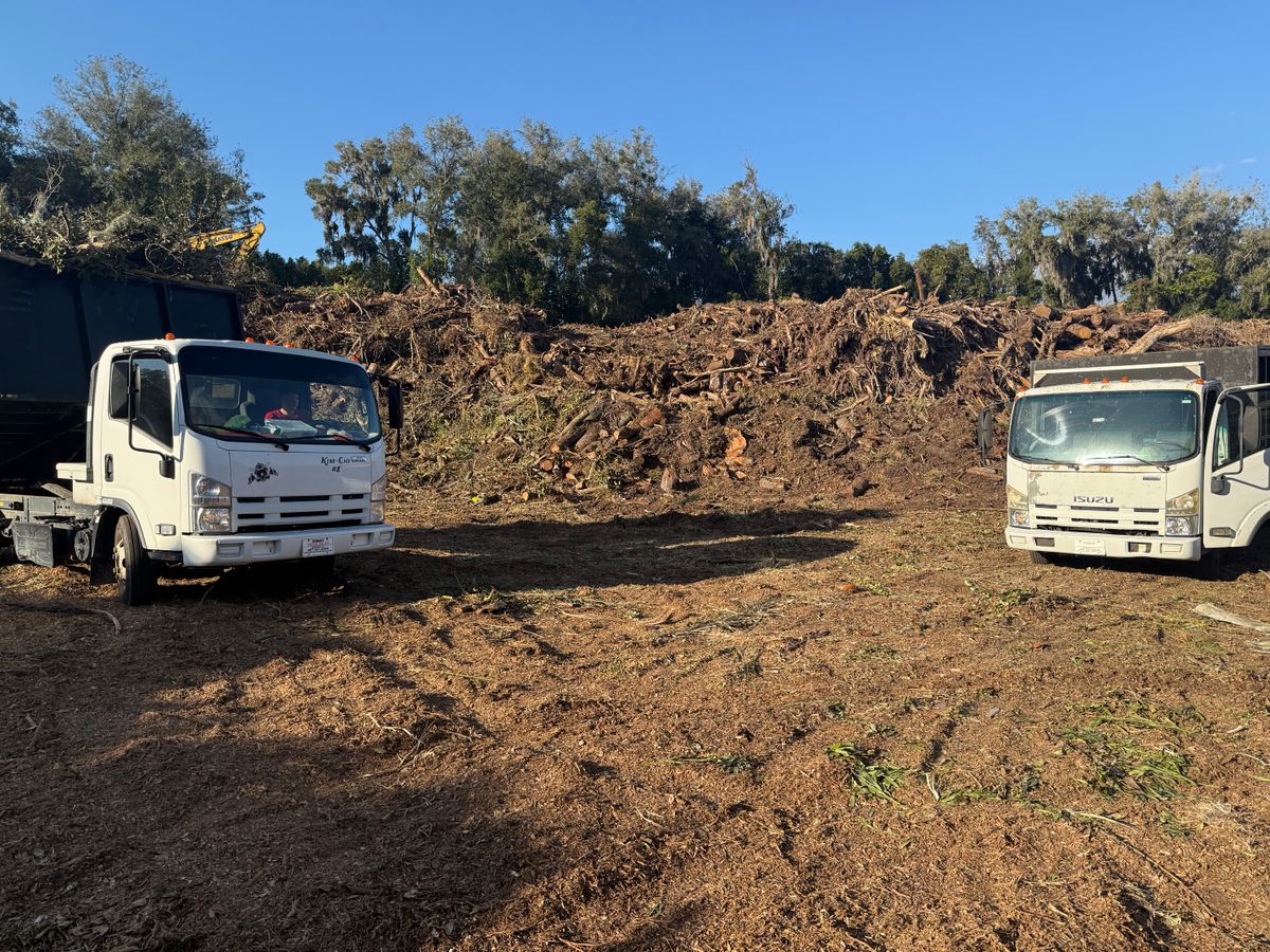 Fall Clean Up for Amerigrown Tree And Lawn in Apopka, FL