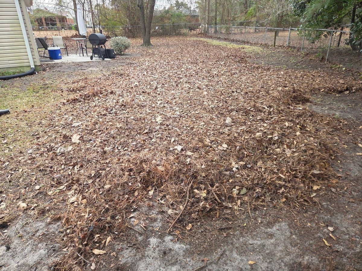 Leaf removal for Just Mow and Go Lawn Service, LLC in New Bern, NC