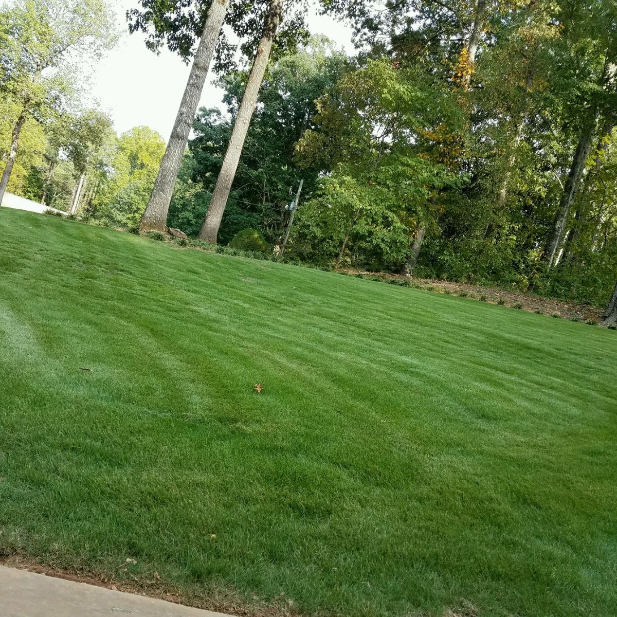 🌿 NB Lawn Service for New Beginning Landscape & Remodel LLC in Atlanta, GA