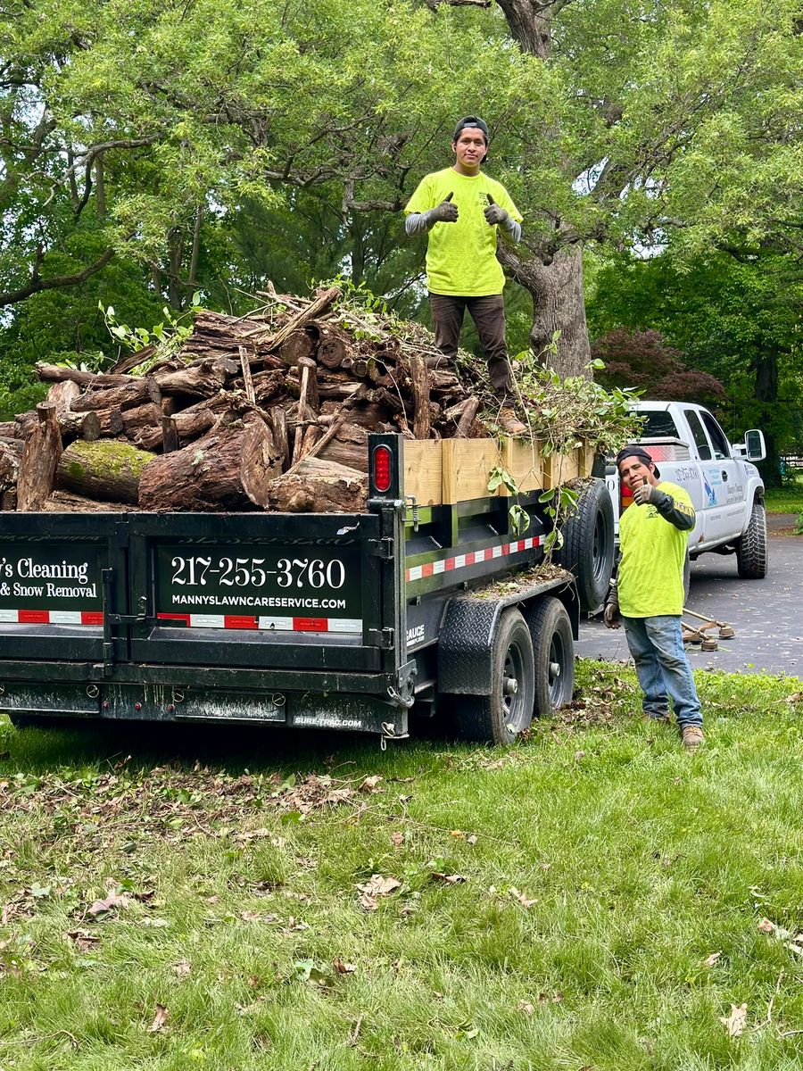 Stump Removal for Manny's Cleaning,Lawn Care & Snow Removal Services in Champaign, IL