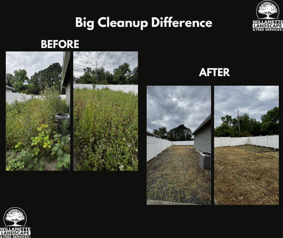 Mowing for Willamette Landscaping & Tree Services in Albany, OR