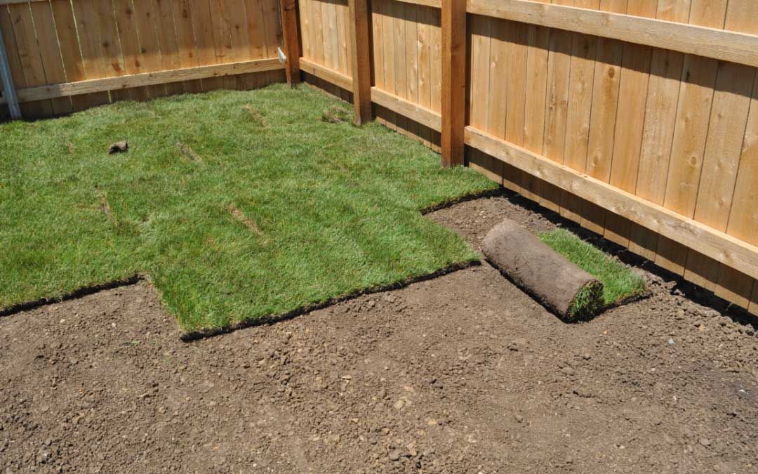 Sod Install for Total Terrain Services in Montgomery, TX