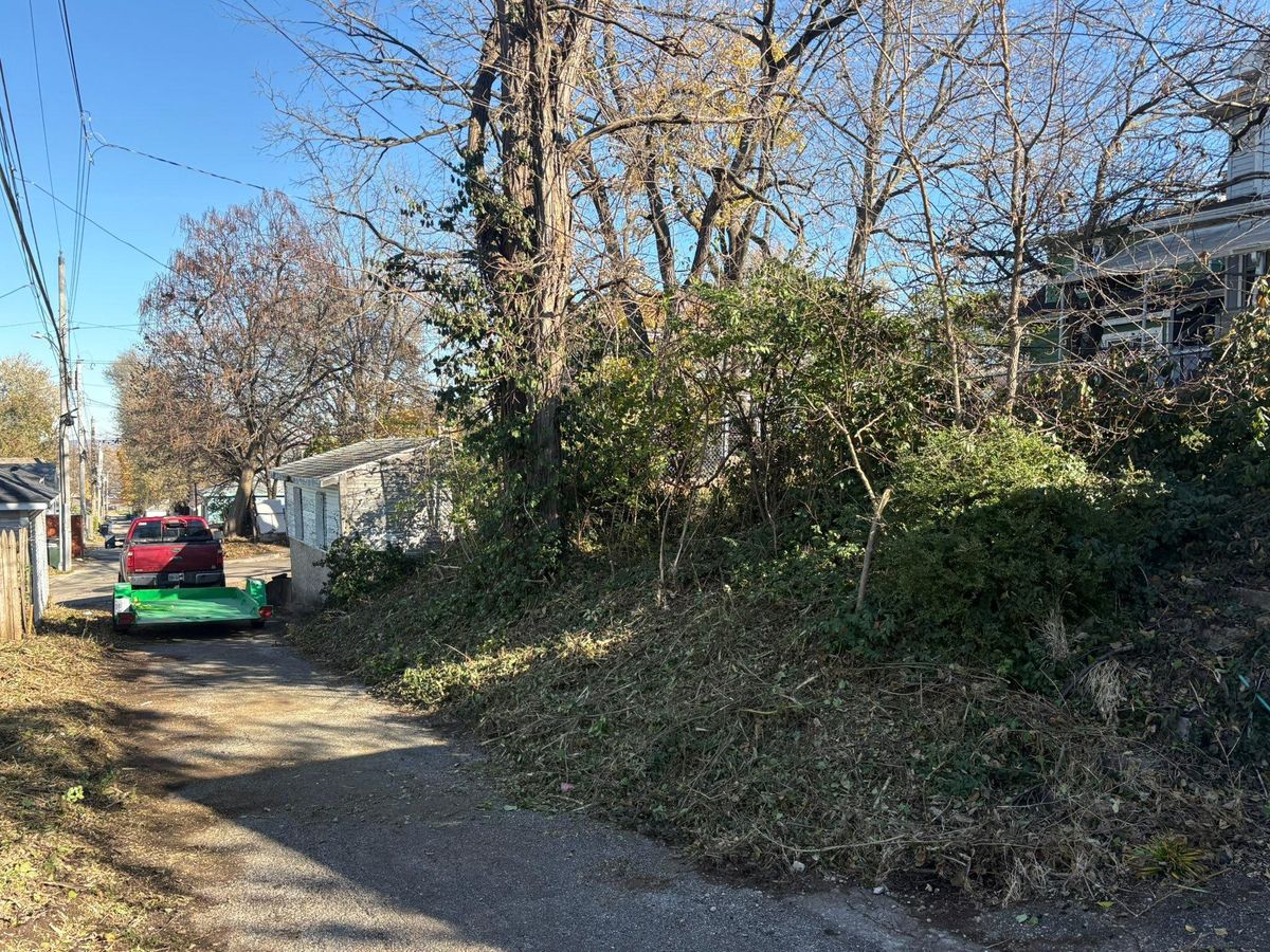 Tree Trimming for Dig-It Tree Company in Mason, OH