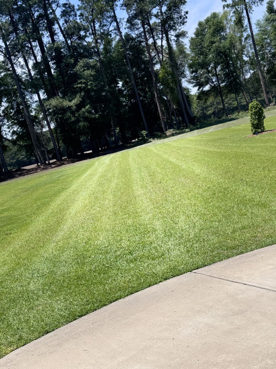 Lawn Maintenance for Trinity Landscapes  in Lumberton, NC