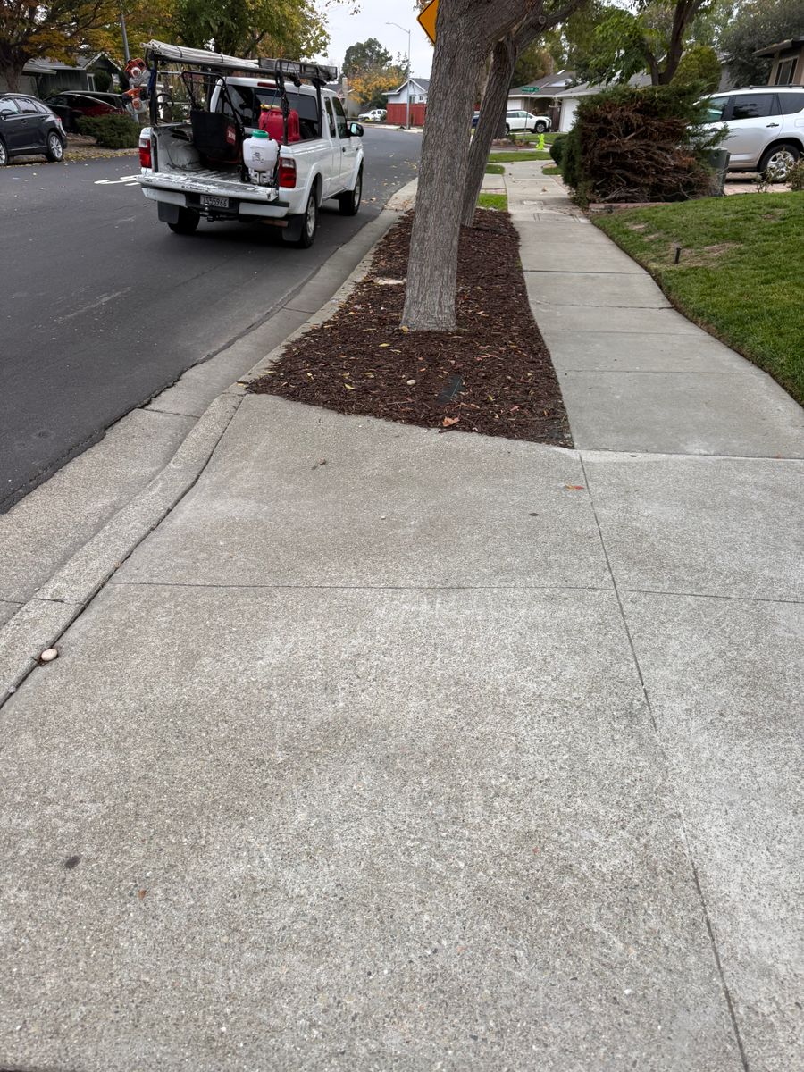 Mulch Installation for CBA Landscaping in Hayward, CA