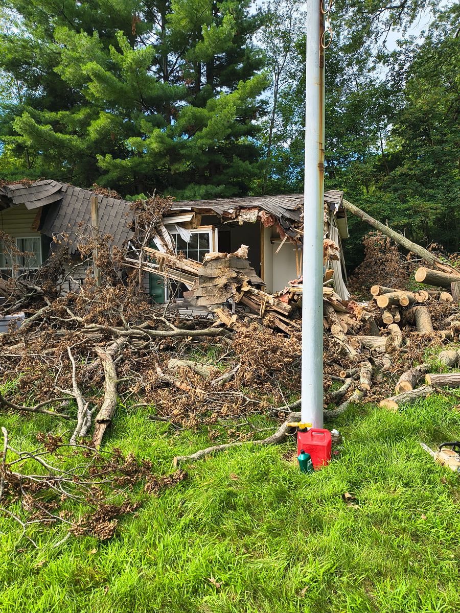 Tree Trimming for Hunnicutt’s Tree Service L.L.C. in Monticello, IN