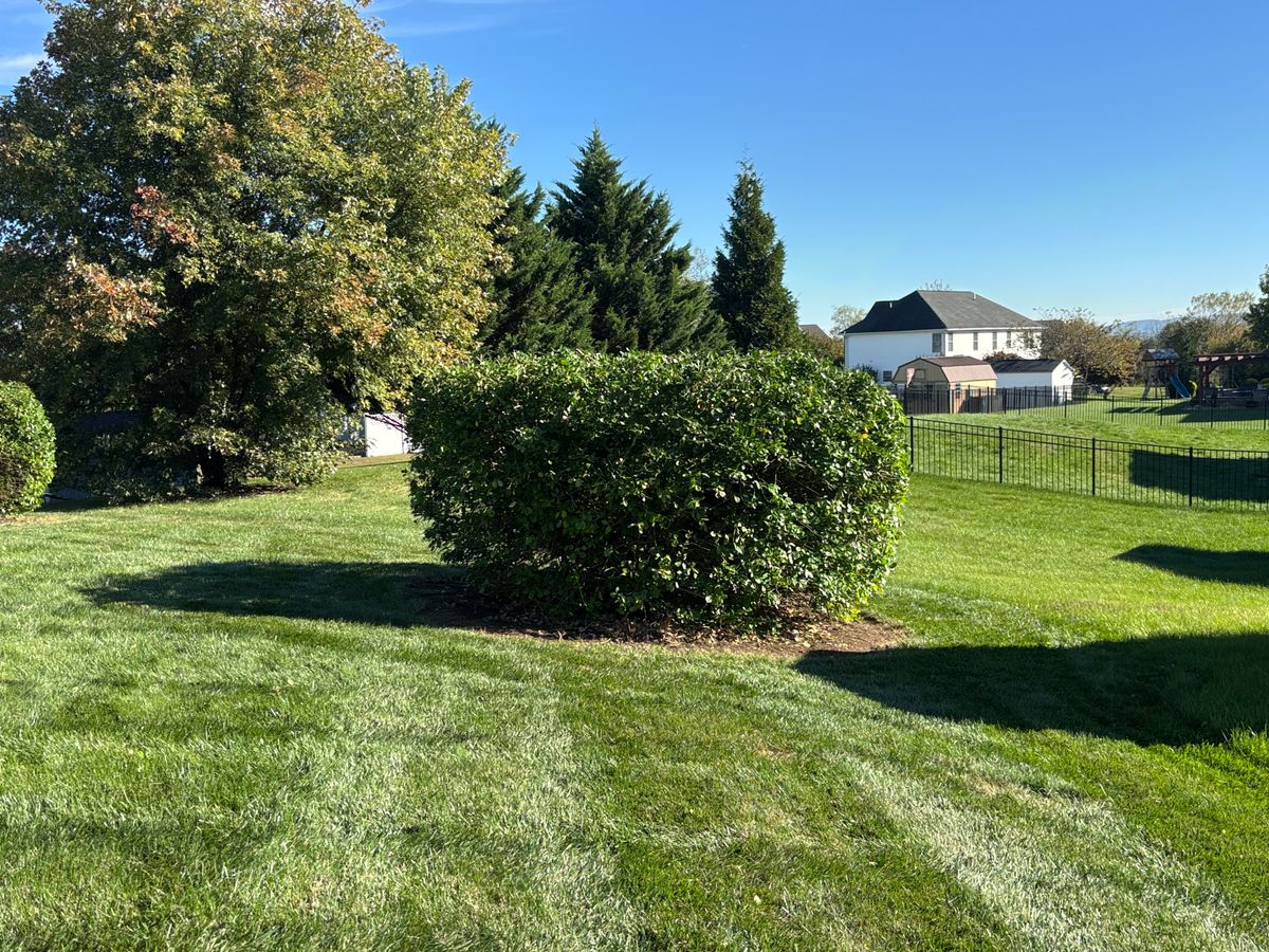 Tree & Shrub Care for Backyard Acres Lawncare LLC in Chambersburg, PA
