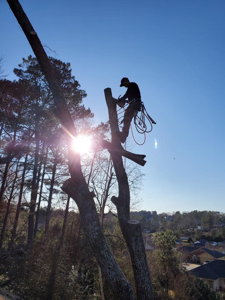 Tree Trimming for Pinedown LLC in Cherokee County, GA