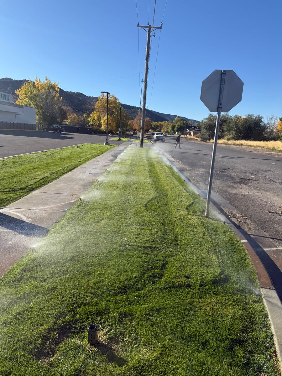 Other Lawn Services for Platinum Lawn Service in Santaquin, UT