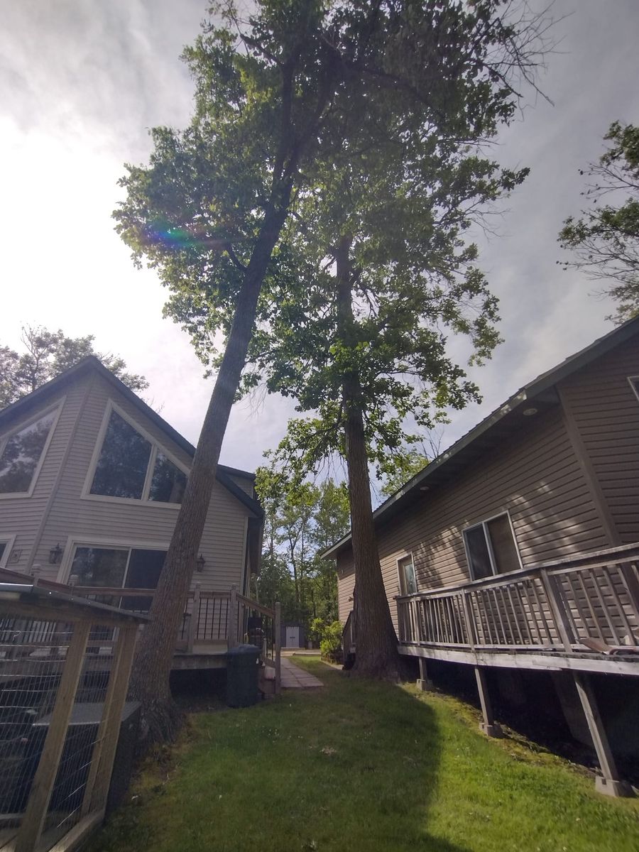 Emergency Tree Removal for Dan's tree service in Bemidji, MN