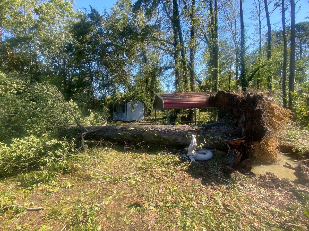 Emergency Tree Service for Bulldawg Disaster Response in Atlanta, GA