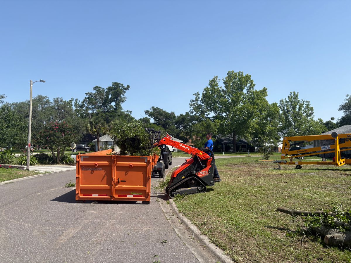 Fall Clean Up for Top Notch Tree Experts in Orange Park, FL