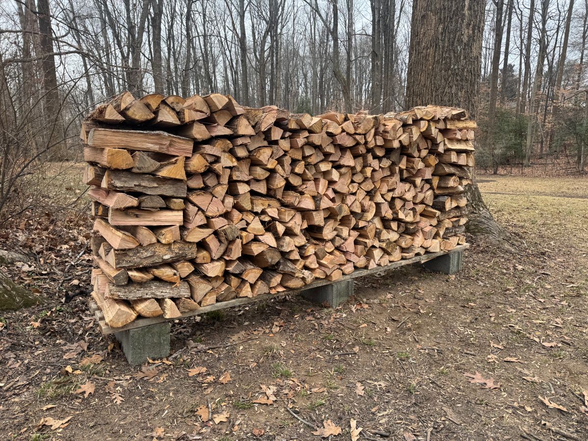 Seasoned firewood for Branch Out Tree Care LLC in Fredericksburg, VA